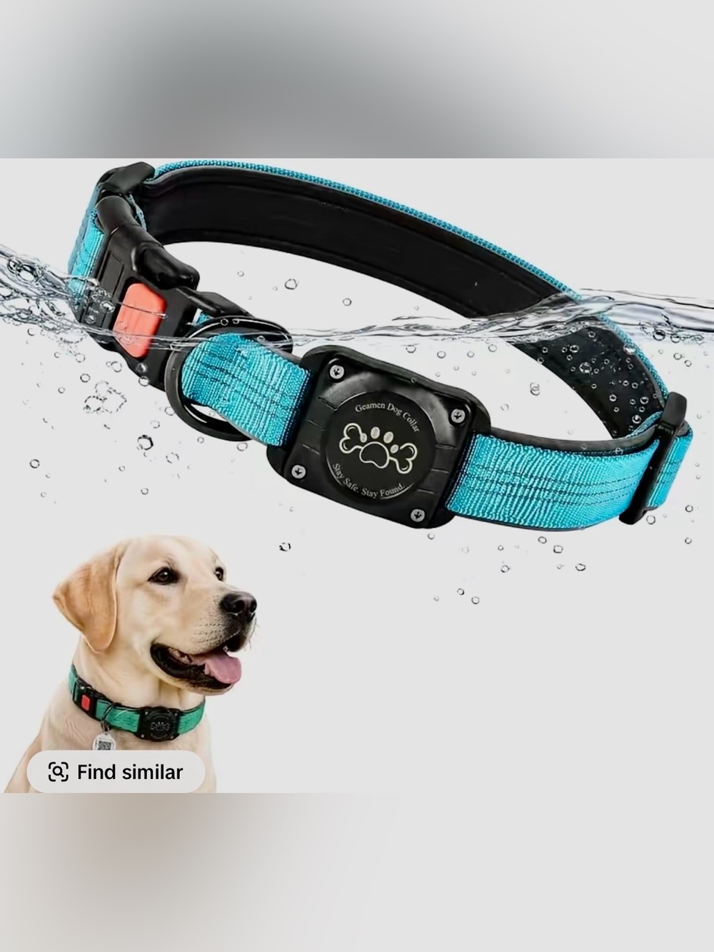 Waterproof Teal Dog Collar with Safety Buckle